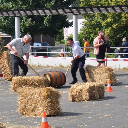 Größeres Bild ansehen