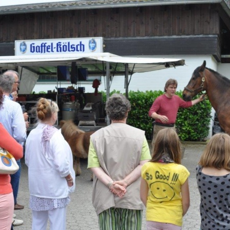 Größeres Bild ansehen