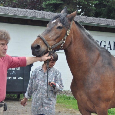 Größeres Bild ansehen