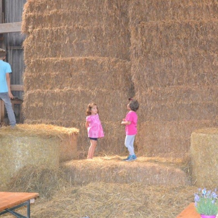 Größeres Bild ansehen