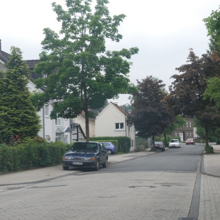 Größeres Bild ansehen