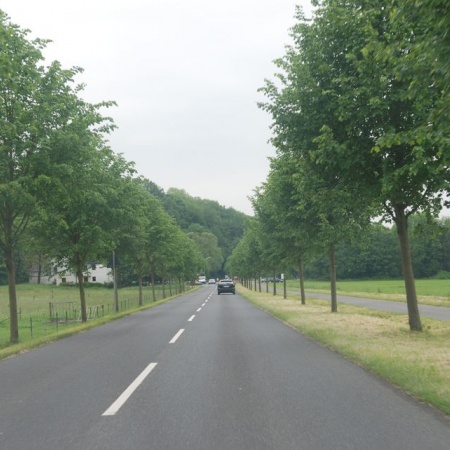 Größeres Bild ansehen